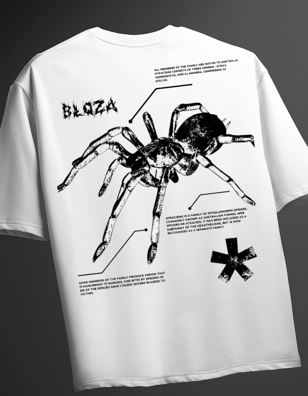 Spider Oversized T-Shirt